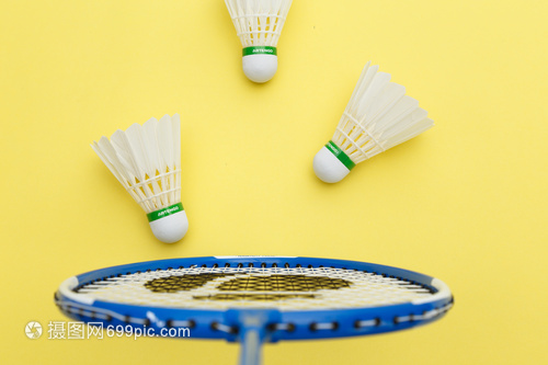 樊振东的表 樊振东的表