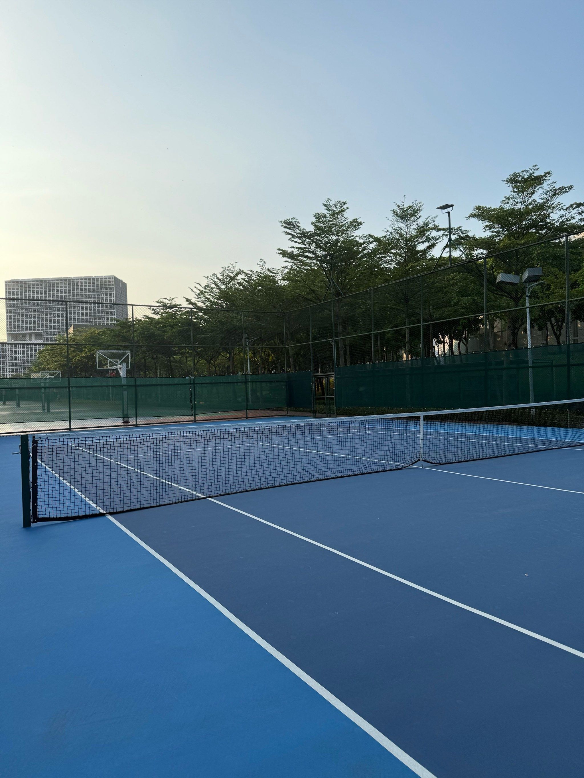 排位赛赛况 排位赛赛况