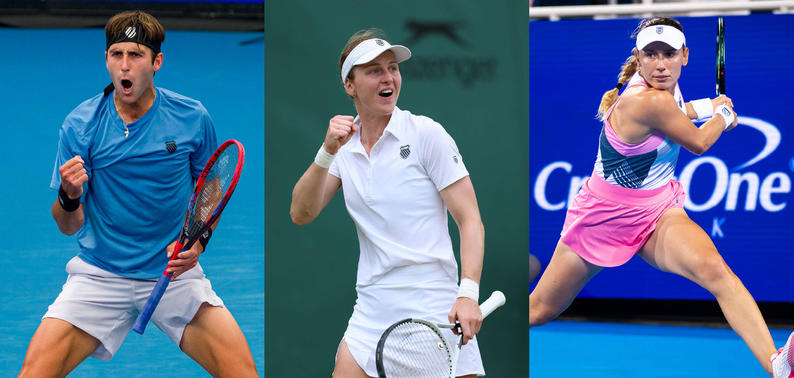 狼球星爱德 狼球星爱德